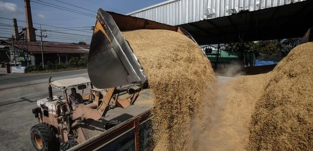 El Niño e la sicurezza alimentare nel Sud Est Asiatico a rischio