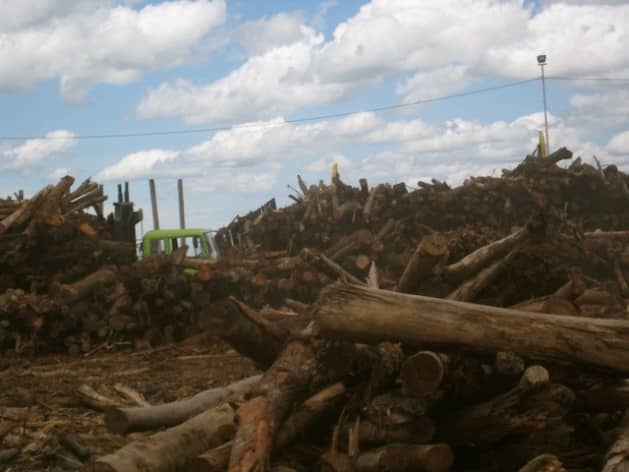 cambiamento climatico