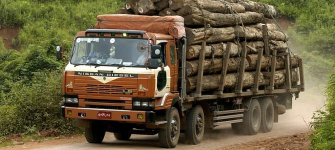 Accordo commerciale sul legno tra UE e Vietnam nel Rapporto EIA