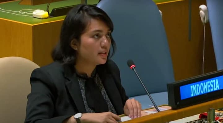 schiaffo in faccia ONU indonesia