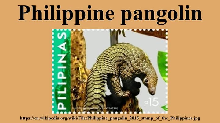 pangolino commercio illegale di fauna selvatica