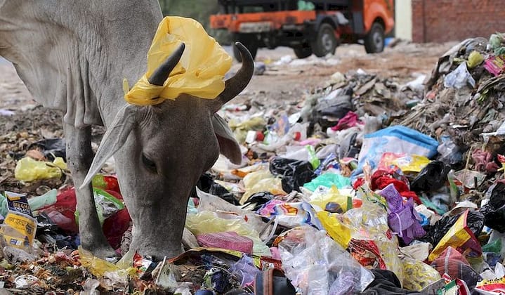 crisi della plastica