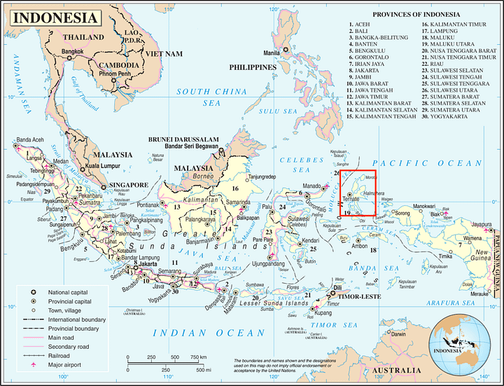 mappa nichel in indonesia