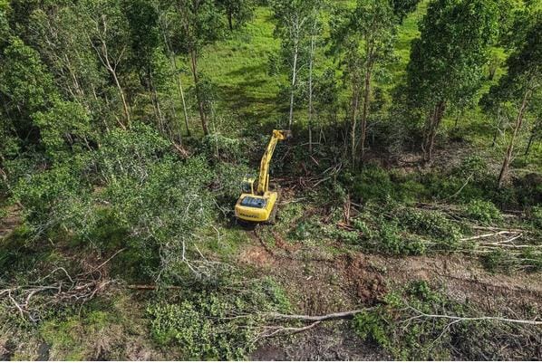 Bruciano le torbiere nel Borneo per fare nuove risaie