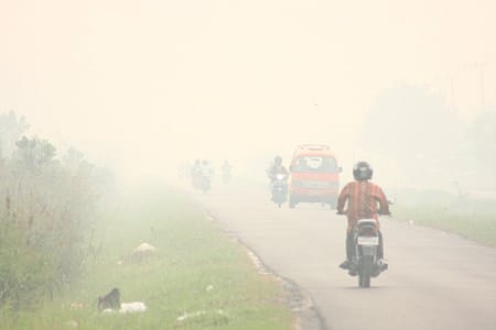 INDONESIA: I fuochi e il degrado ambientale nel Kalimantano