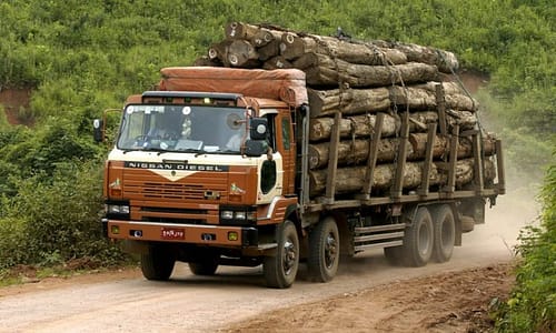 Accordo commerciale sul legno tra UE e Vietnam nel Rapporto EIA