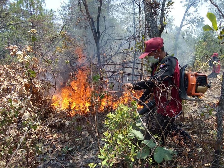 incendi fuochi Chiang Mai